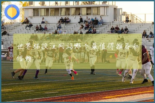世界杯投注网站哪个最值得推荐和信赖
