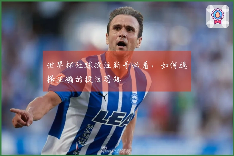 世界杯让球投注新手必看，如何选择正确的投注思路