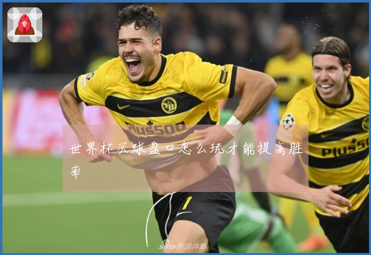 世界杯买球盘口怎么玩才能提高胜率