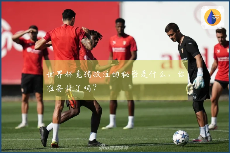 世界杯竞猜投注的秘密是什么，你准备好了吗？
