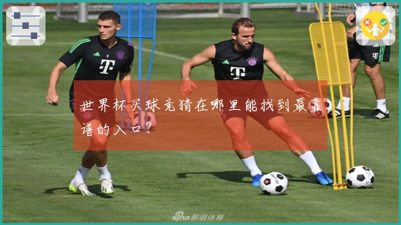 世界杯买球竞猜在哪里能找到最靠谱的入口？