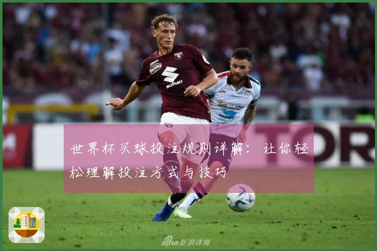 世界杯买球投注规则详解：让你轻松理解投注方式与技巧