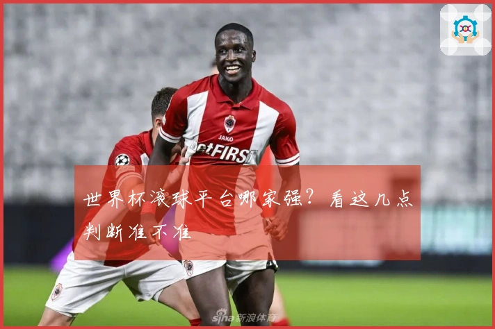 世界杯滚球平台哪家强？看这几点判断准不准