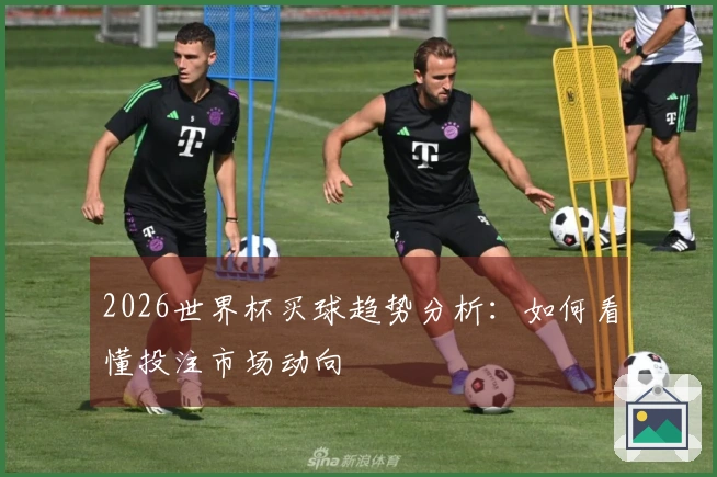 2026世界杯买球趋势分析：如何看懂投注市场动向