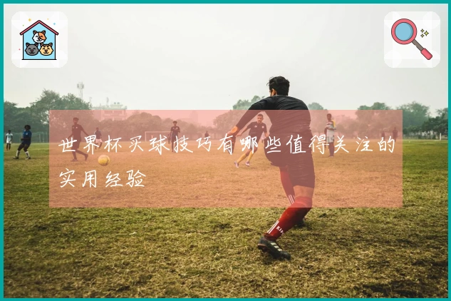 世界杯买球技巧有哪些值得关注的实用经验