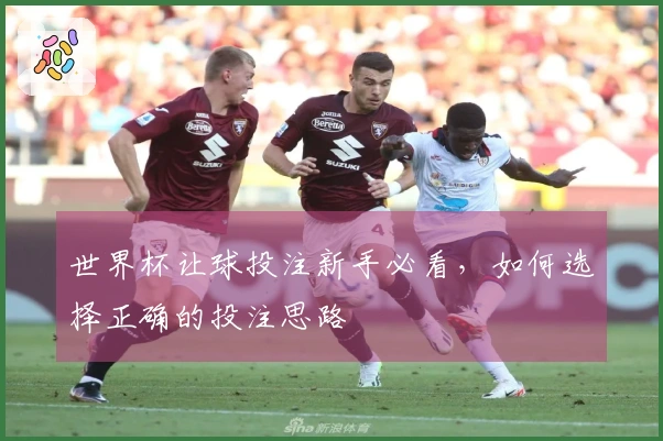 世界杯让球投注新手必看，如何选择正确的投注思路
