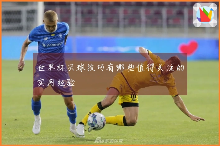 世界杯买球技巧有哪些值得关注的实用经验