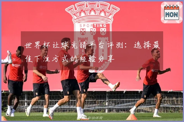 世界杯让球竞猜平台评测：选择最佳下注方式的经验分享