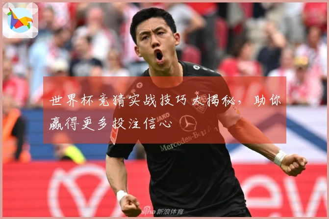 世界杯竞猜实战技巧大揭秘，助你赢得更多投注信心
